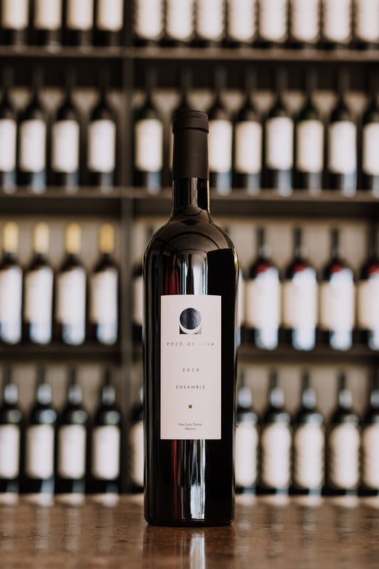 Vino Tinto Pozo de Luna Ensamble 750ml