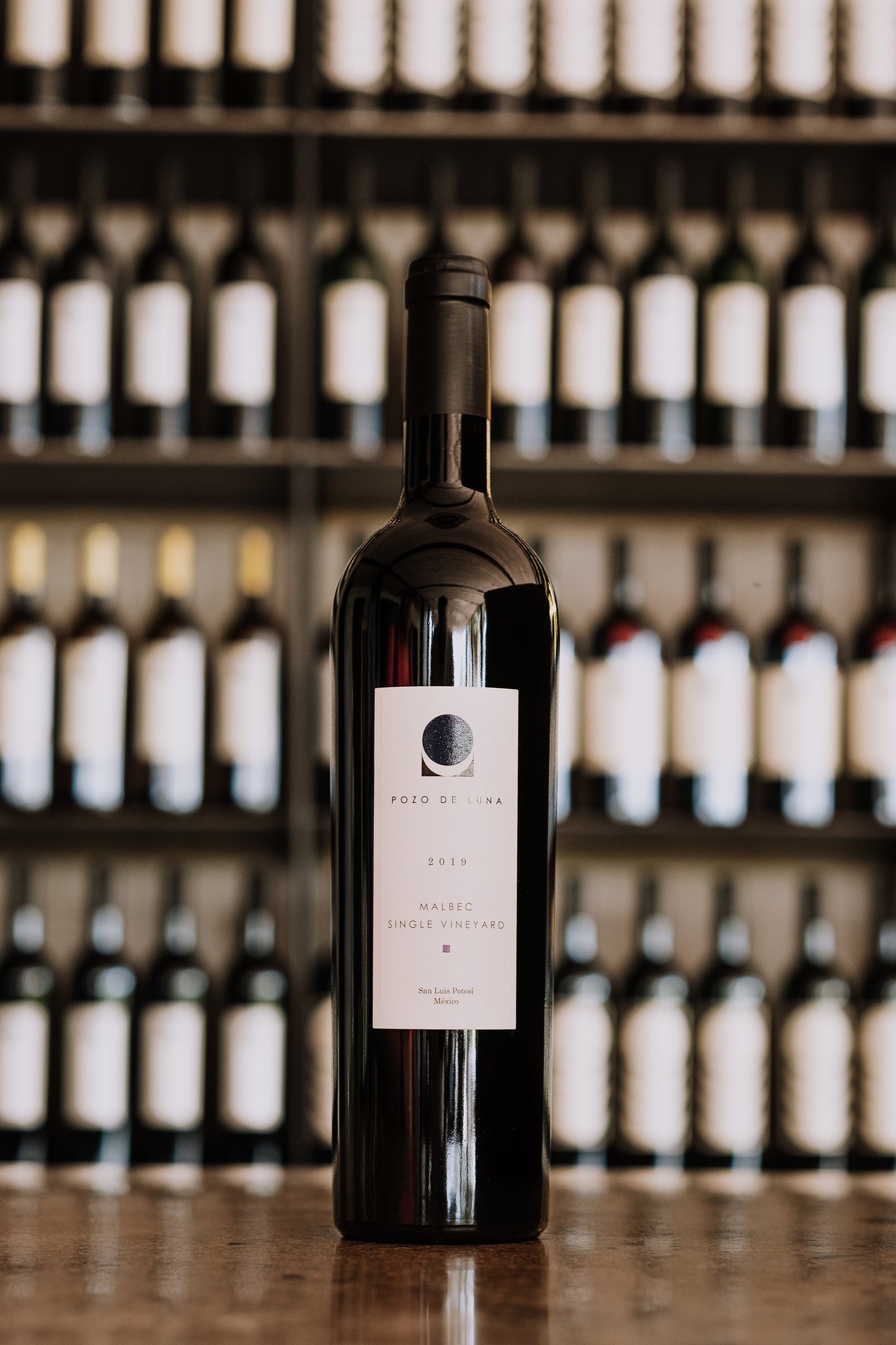 Vino Tinto Pozo de Luna Malbec Single Vineyard 750ml